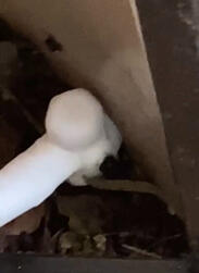 Frozen A/C Unit
