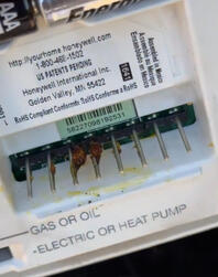 Thermostat Corrosion